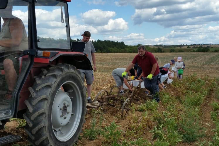 Unsere Kartoffelernte als Ferienprogramm-Highlight für Klein und auch Groß